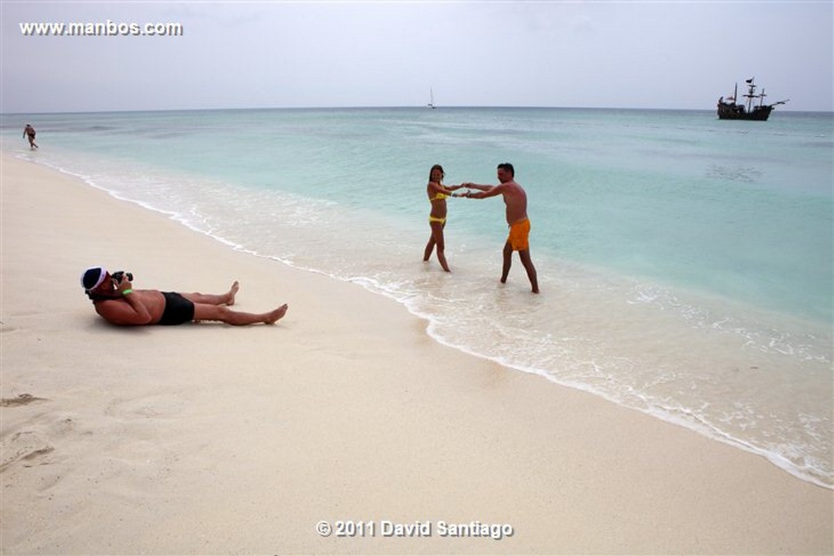 Saona Island
Saona Island
Saona Island