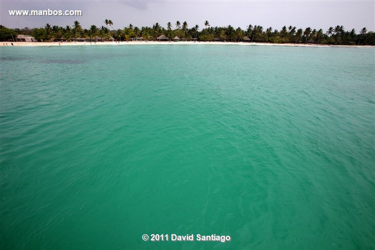 Santo Domingo
Saona Island Catamaran
Bavaro