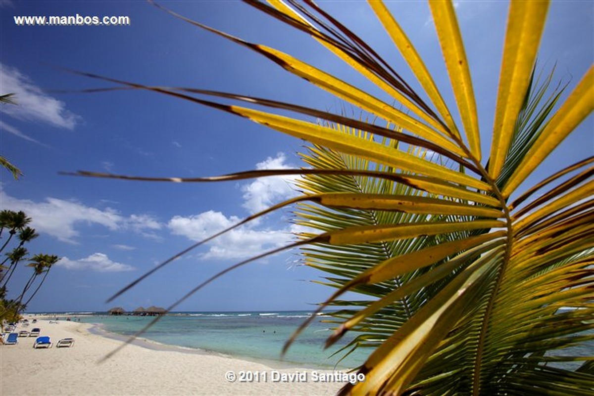 Santo Domingo
Caribbean Sea Boca Chica Beach Playa Boca Chica   santo Domingo
Santo Domingo