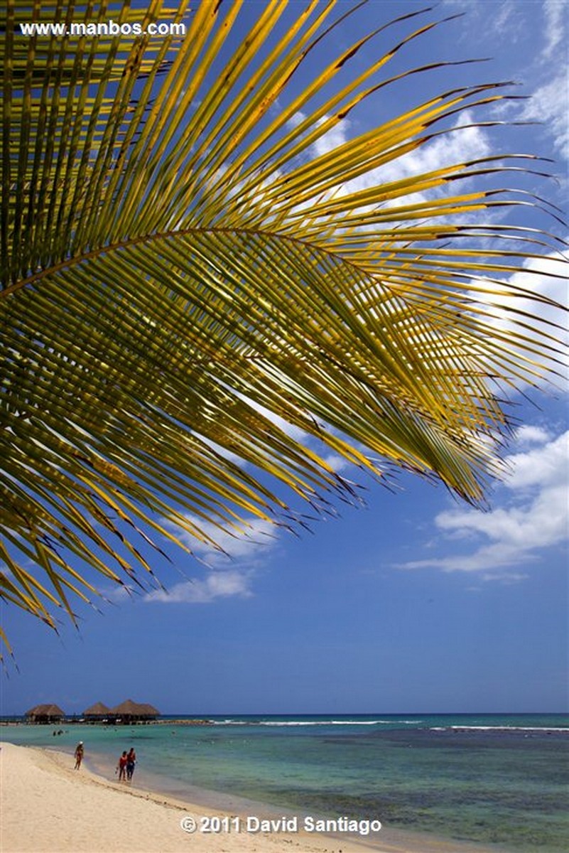 Santo Domingo
Caribbean Sea Boca Chica Beach Playa Boca Chica   santo Domingo
Santo Domingo