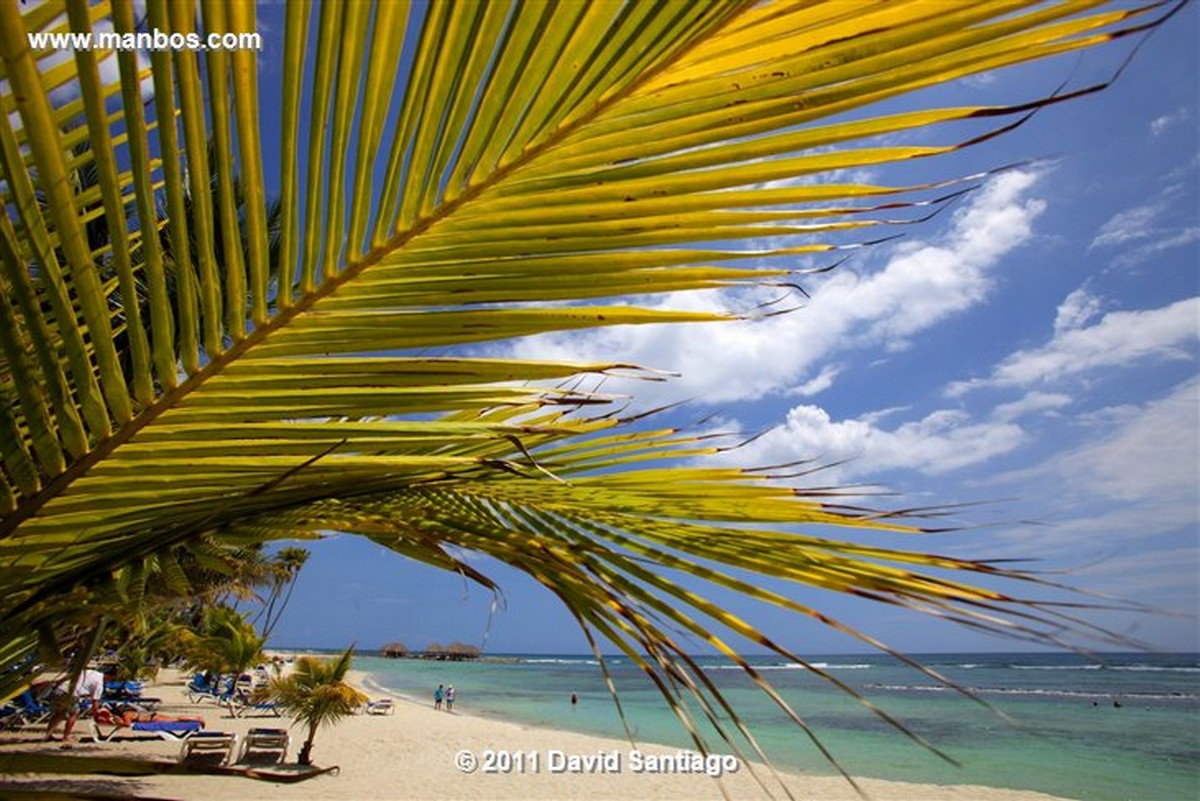 Santo Domingo
Caribbean Sea Boca Chica Beach Playa Boca Chica   santo Domingo
Santo Domingo