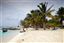 Saona Island
Saona Island
Saona Island