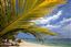 Santo Domingo
Caribbean Sea Boca Chica Beach Playa Boca Chica   santo Domingo
Santo Domingo