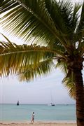 Saona Island, Saona Island, Republica Dominicana