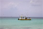 Saona Island, Saona Island, Republica Dominicana