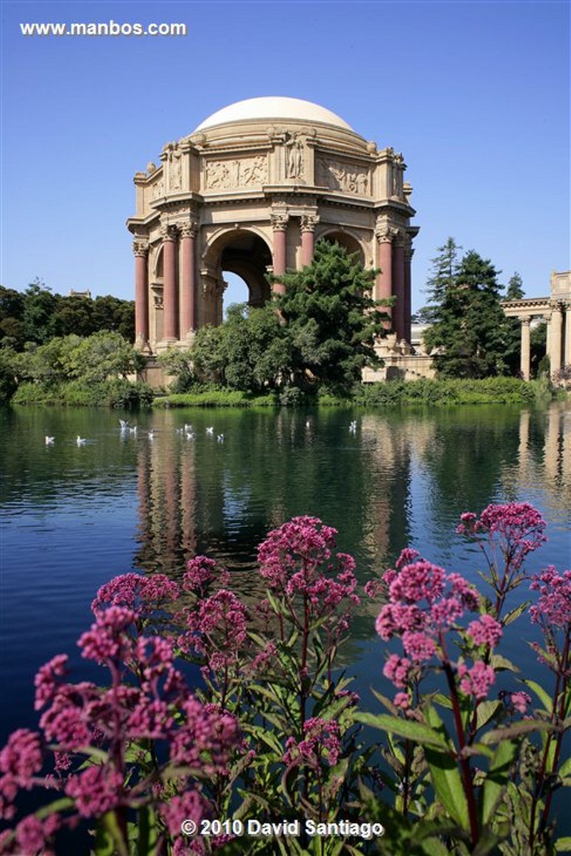 San Francisco 
Palace Of Fine Arts San Francisco Eeuu 
California 