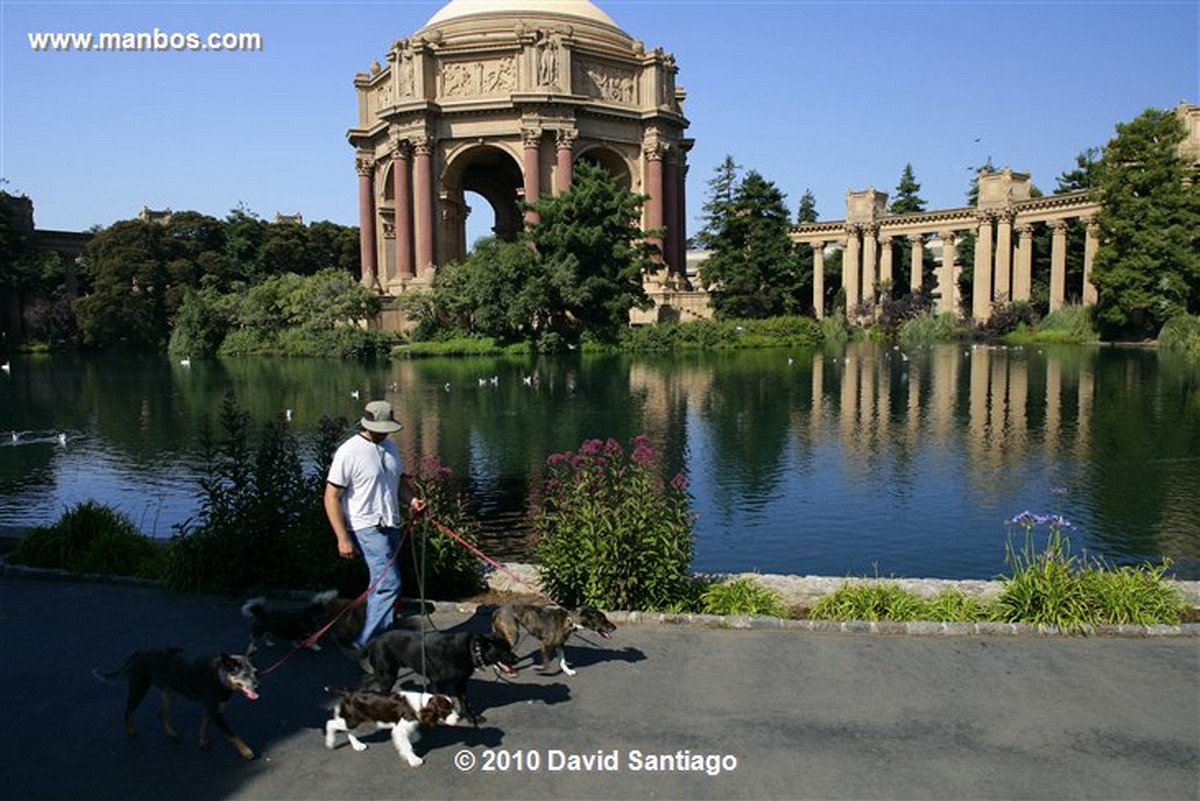 San Francisco 
Palace Of Fine Arts San Francisco Eeuu 
California 