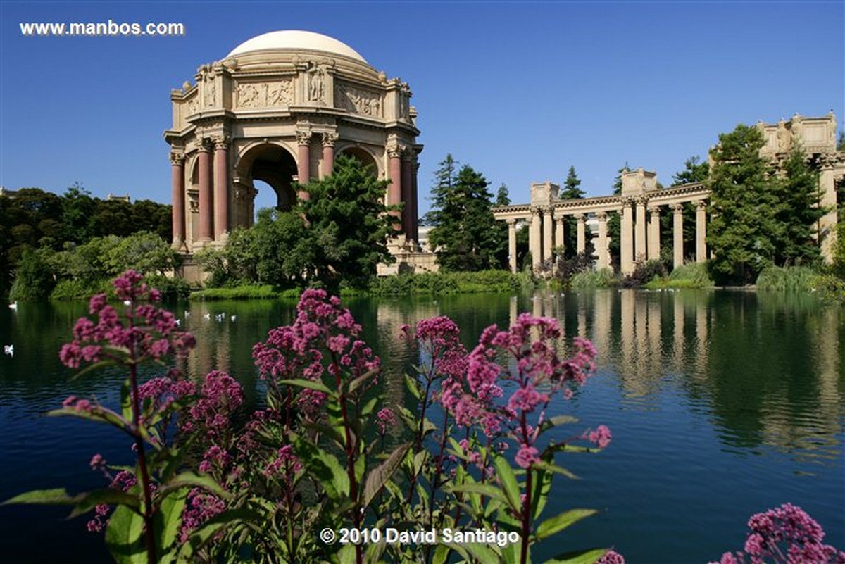 San Francisco 
Palace Of Fine Arts San Francisco Eeuu 
California 