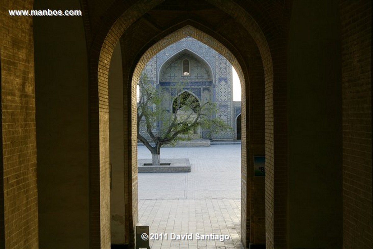 Bukhara
Bukhara
Bukhara