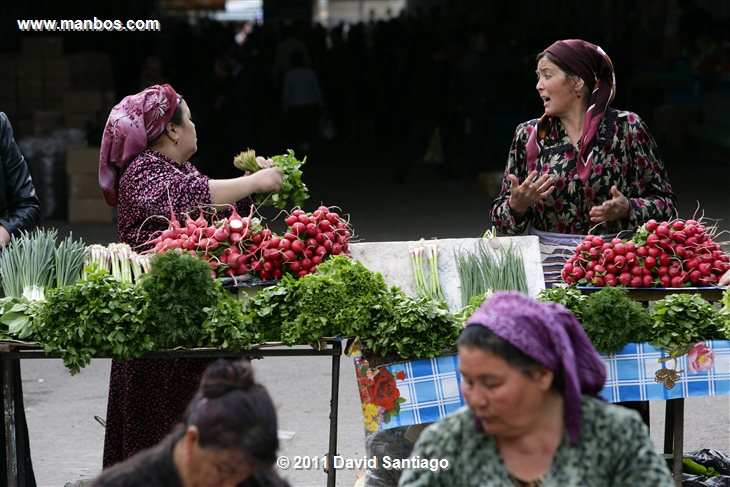 Tashkent
Tashkent
Tashkent