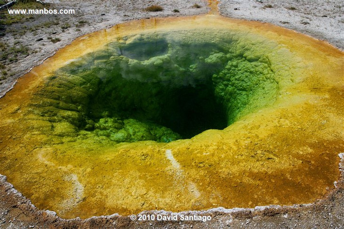 Yellowstone 
Estanque de Morning Glory Pool Yellostone Eeuu 
Wyoming 