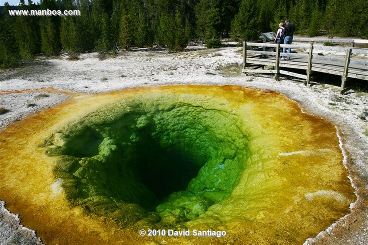 Yellowstone 
Estanque de Morning Glory Pool Yellostone Eeuu 
Wyoming 