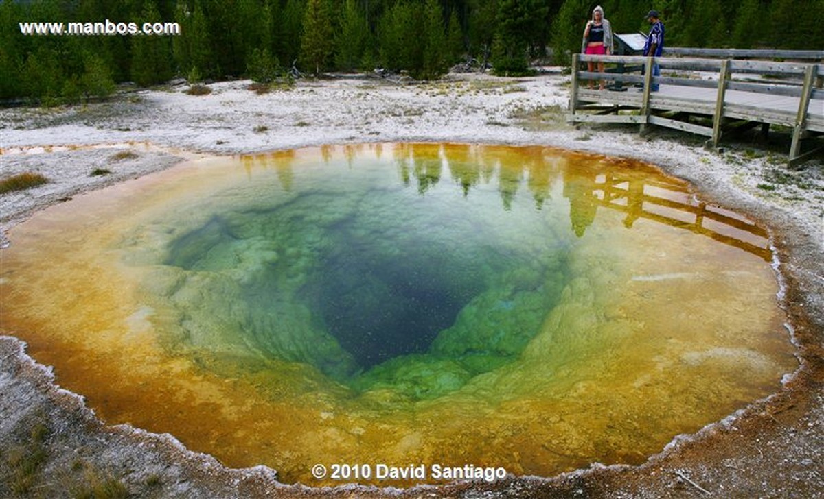 Yellowstone 
Estanque de Morning Glory Pool Yellostone Eeuu 
Wyoming 