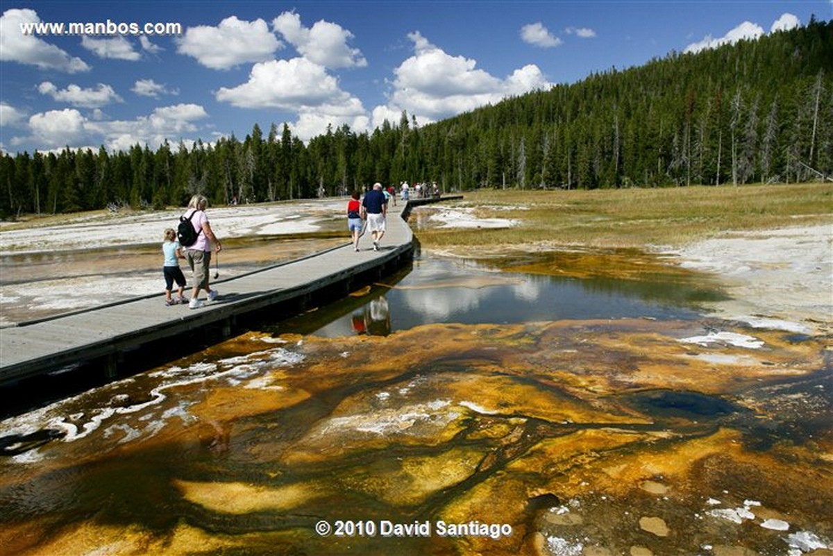 Yellowstone 
Estanque de Morning Glory Pool Yellostone Eeuu 
Wyoming 