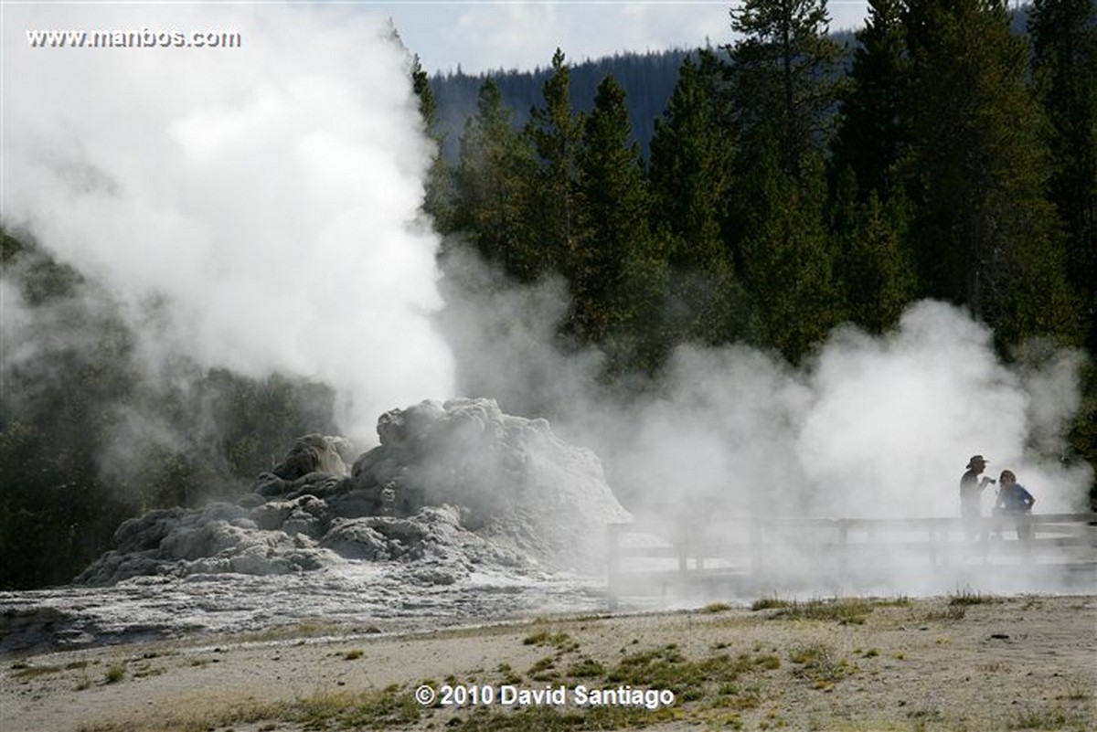 Yellowstone 
Geiser Yellostone Eeuu 
Wyoming 