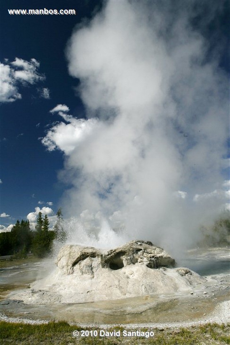 Yellowstone 
Geiser Yellostone Eeuu 
Wyoming 