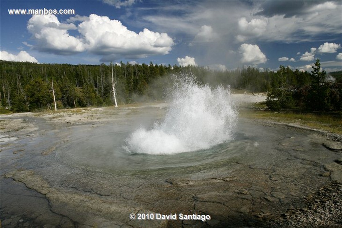 Yellowstone 
Geiser Yellostone Eeuu 
Wyoming 