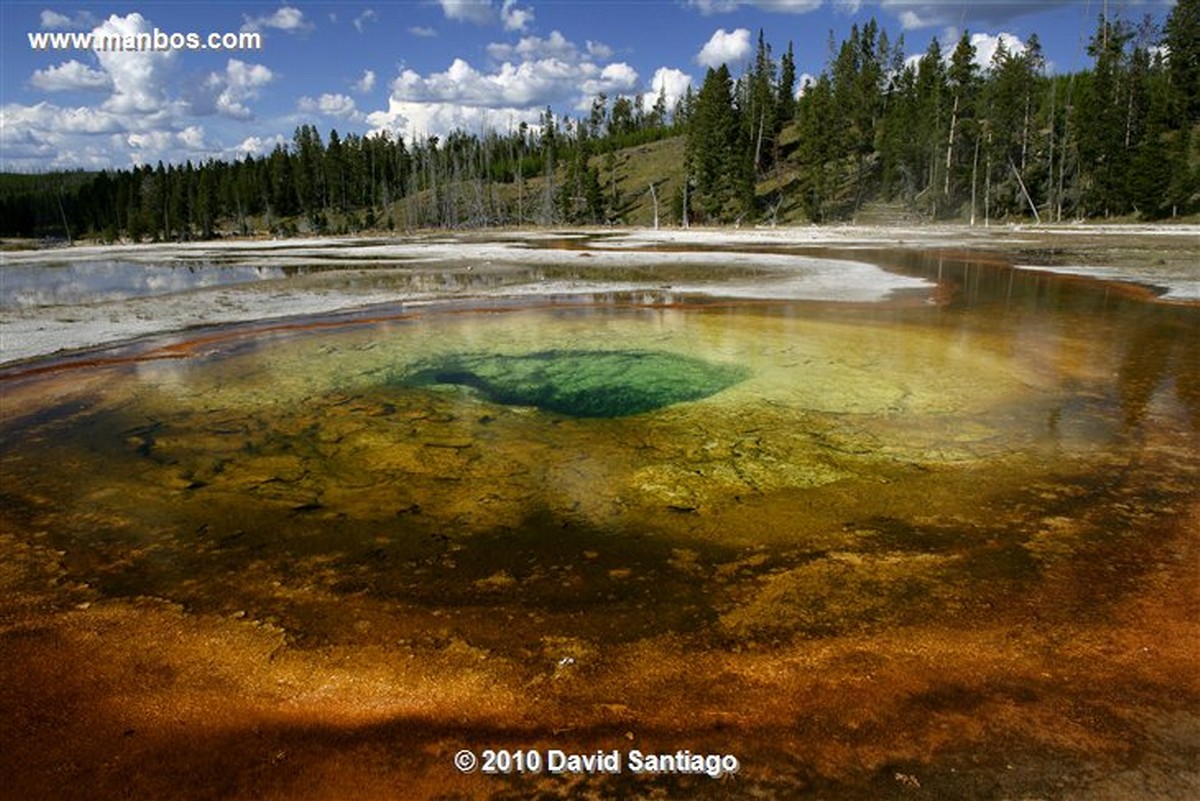 Yellowstone 
Geiser Yellostone Eeuu 
Wyoming 