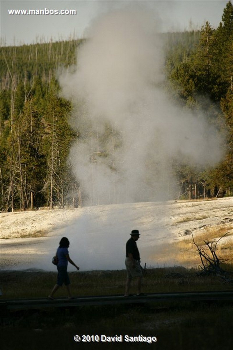 Yellowstone 
Geiser Yellostone Eeuu 
Wyoming 