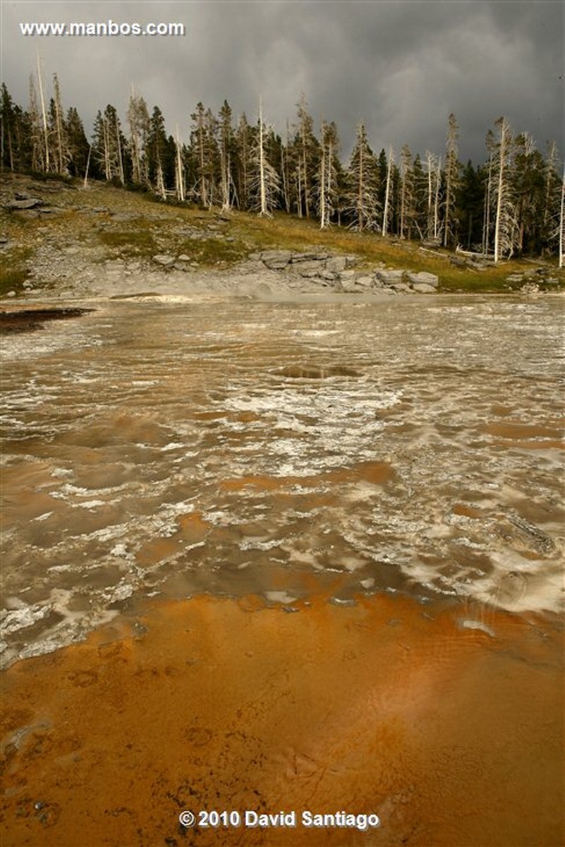 Yellowstone 
Yellowstone Grand Prismatic Spring Eeuu 
Wyoming 