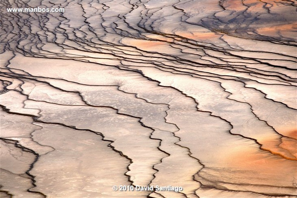 Yellowstone 
Yellowstone Grand Prismatic Spring Eeuu 
Wyoming 