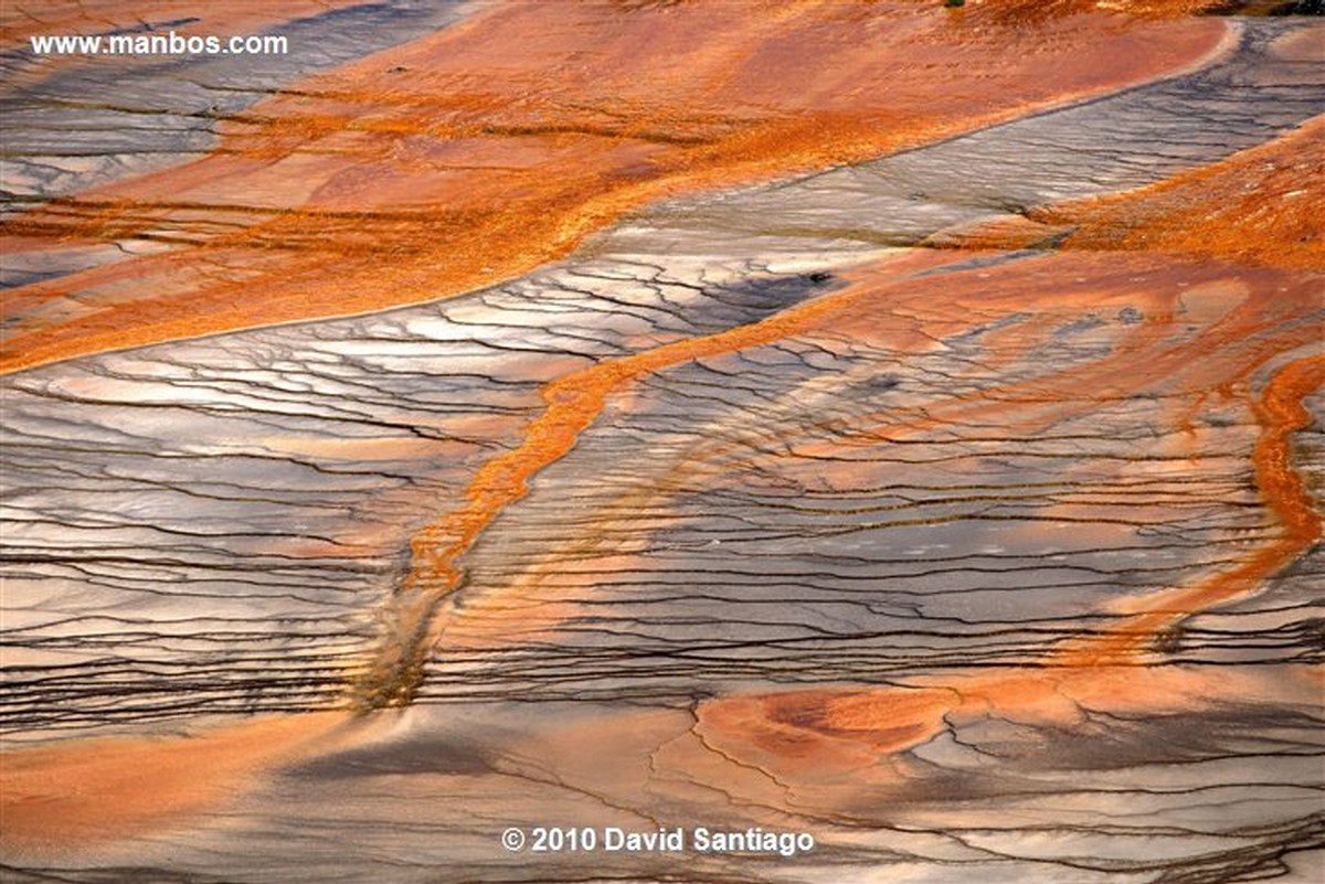 Yellowstone 
Yellowstone Grand Prismatic Spring Eeuu 
Wyoming 