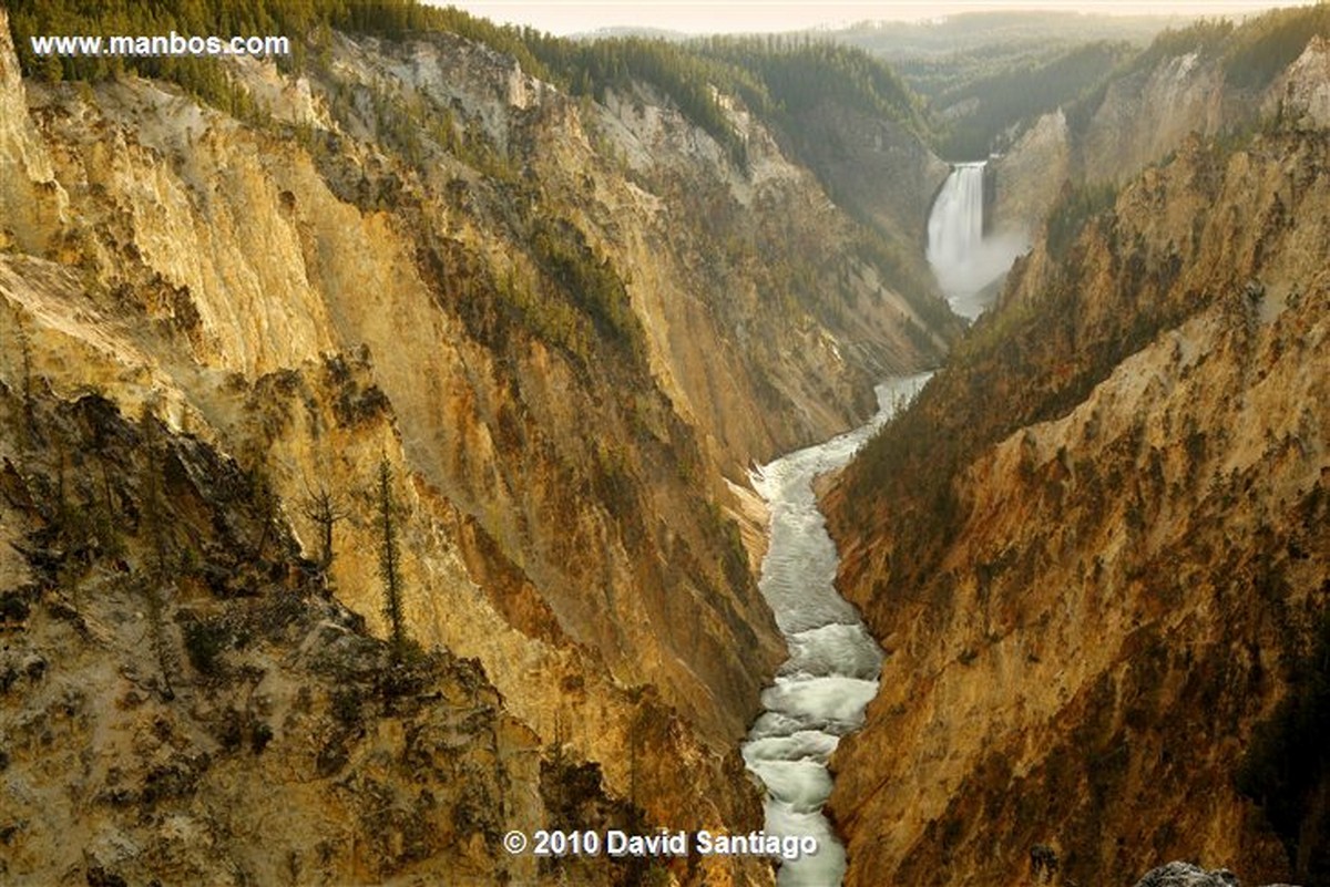 Yellowstone 
Yellowstone Lower Falls Eeuu 
Wyoming 