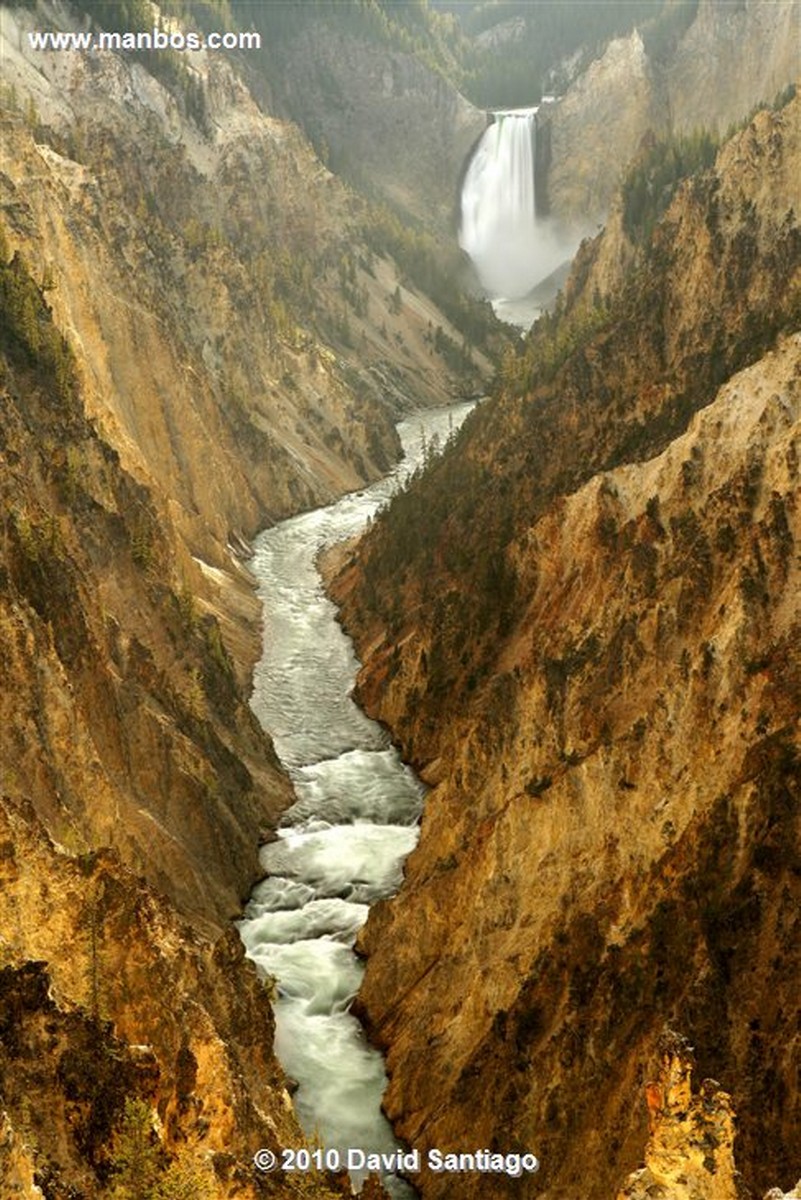 Yellowstone 
Yellowstone Lower Falls Eeuu 
Wyoming 