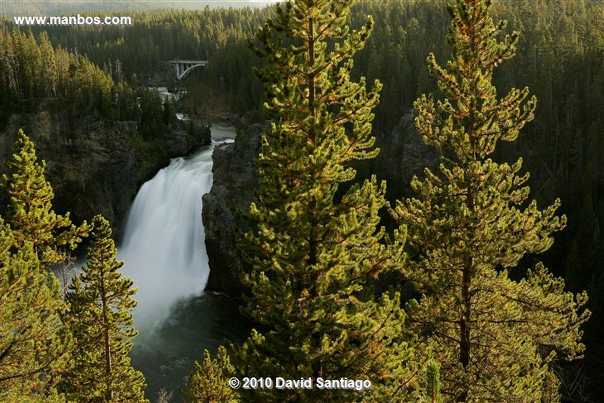 Yellowstone 
Yellowstone Lower Falls Eeuu 
Wyoming 