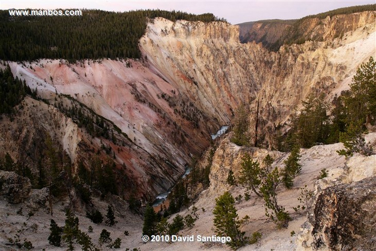 Yellowstone 
Yellowstone Lower Falls Eeuu 
Wyoming 