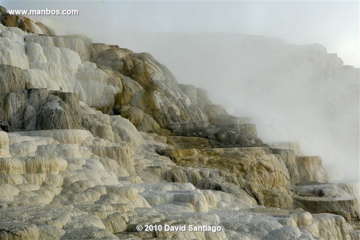 Yellowstone 
Yellowstone Mammoth Hot Springs Eeuu 
Wyoming 