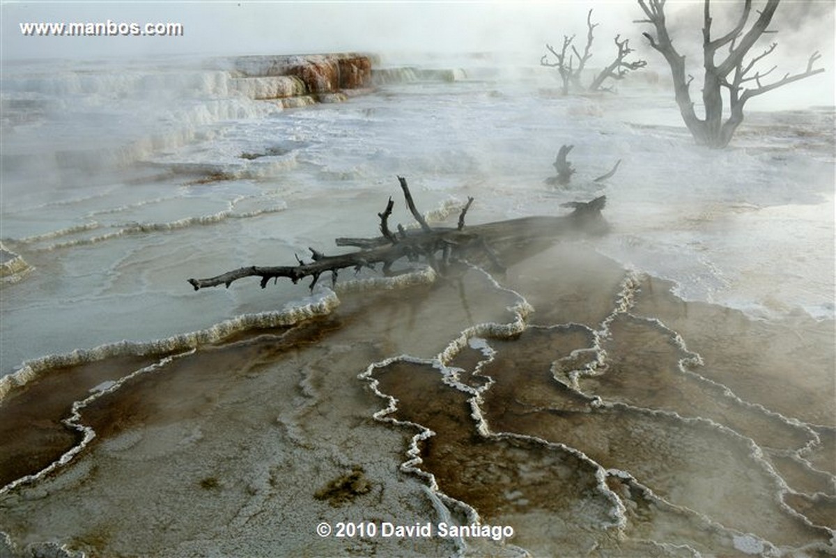 Yellowstone 
Yellowstone Mammoth Hot Springs Eeuu 
Wyoming 