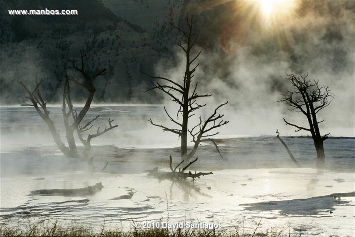 Yellowstone 
Yellowstone Mammoth Hot Springs Eeuu 
Wyoming 