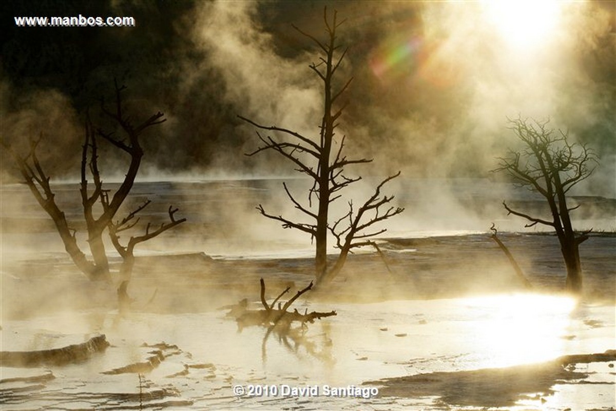 Yellowstone 
Yellowstone Mammoth Hot Springs Eeuu 
Wyoming 