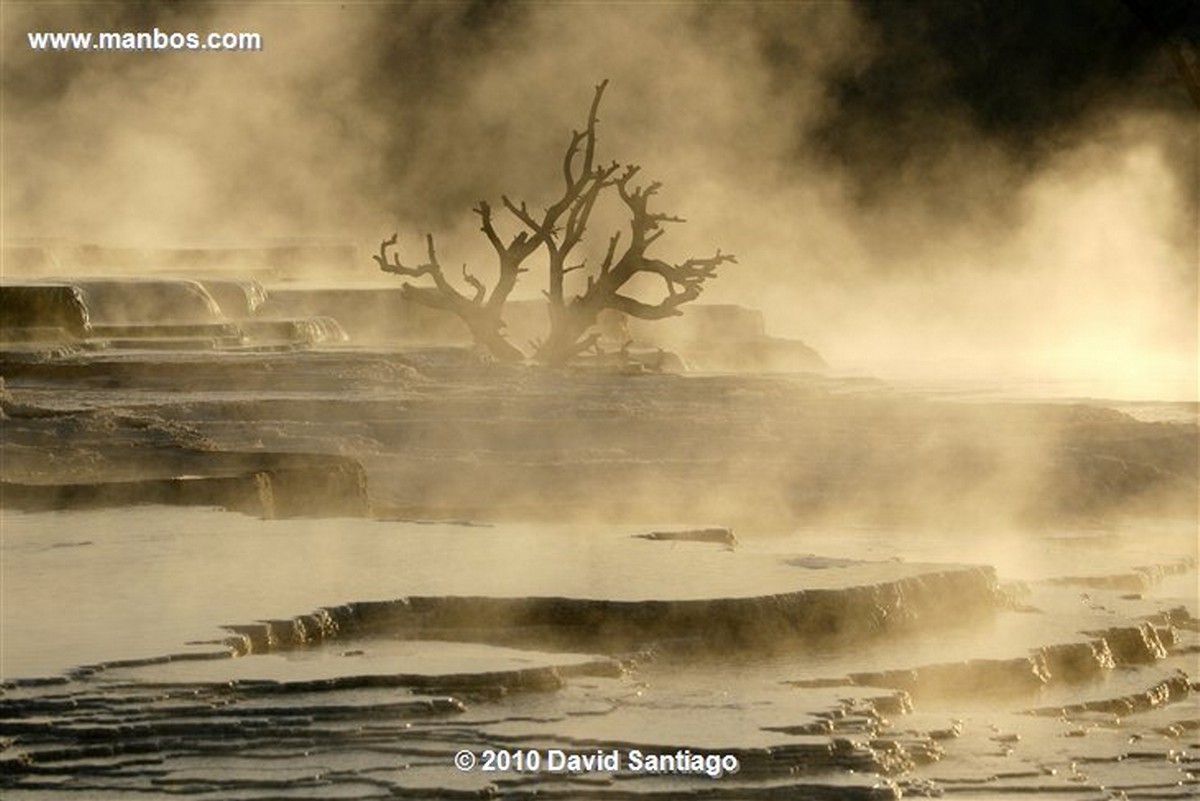 Yellowstone 
Yellowstone Mammoth Hot Springs Eeuu 
Wyoming 