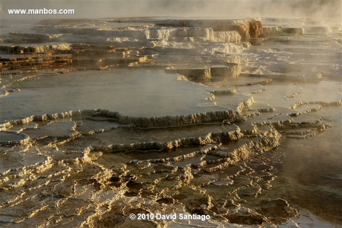 Yellowstone 
Yellowstone Mammoth Hot Springs Eeuu 
Wyoming 