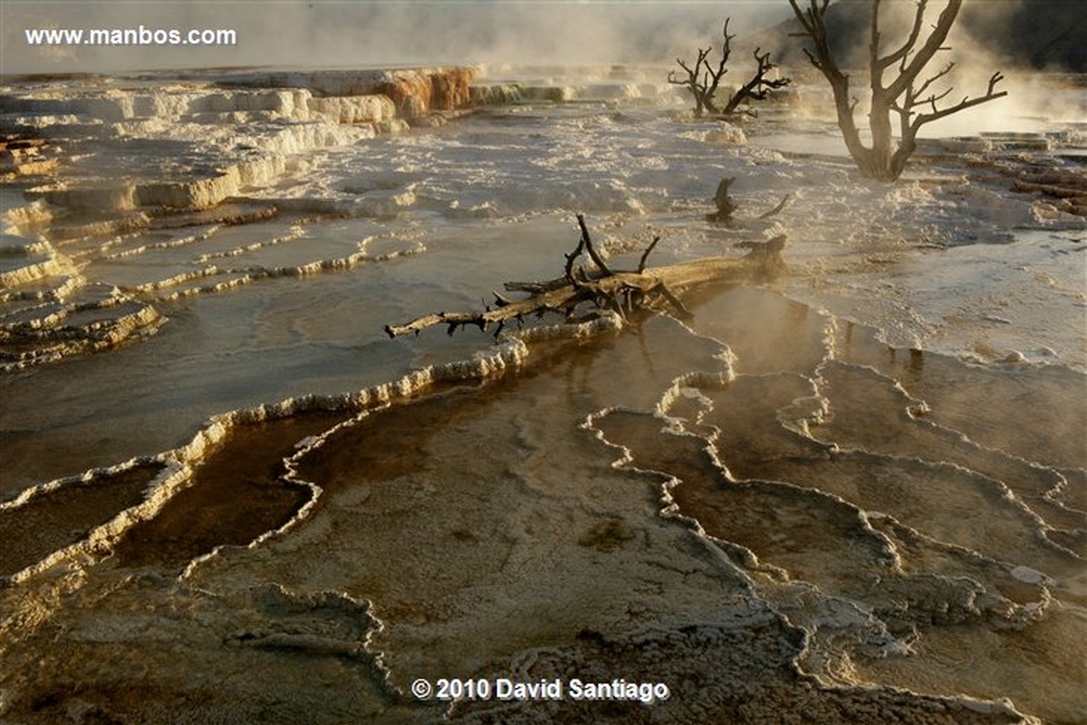 Yellowstone 
Yellowstone Mammoth Hot Springs Eeuu 
Wyoming 