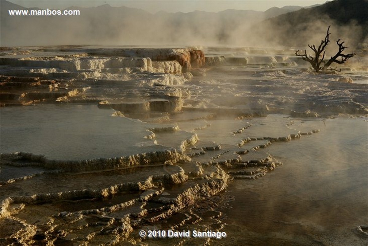 Yellowstone 
Yellowstone Mammoth Hot Springs Eeuu 
Wyoming 