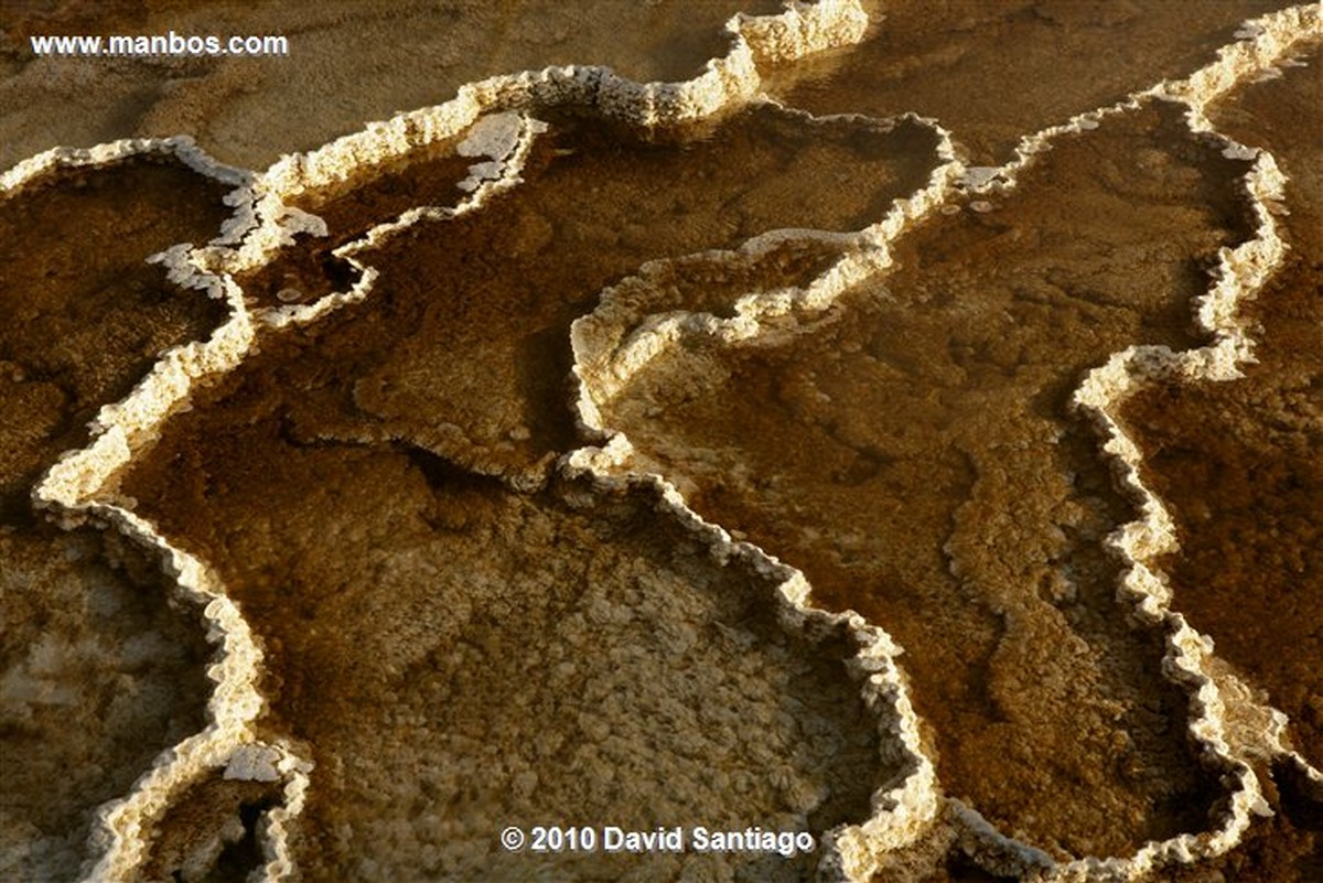 Yellowstone 
Yellowstone Mammoth Hot Springs Eeuu 
Wyoming 