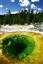 Yellowstone 
Estanque de Morning Glory Pool Yellostone Eeuu 
Wyoming 