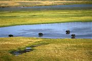 Yellowstone , Yellowstone , Estados Unidos 