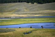 Yellowstone , Yellowstone , Estados Unidos 