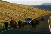 Yellowstone , Yellowstone , Estados Unidos 