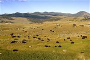 Yellowstone , Yellowstone , Estados Unidos 