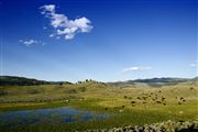 Yellowstone , Yellowstone , Estados Unidos 