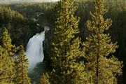 Yellowstone , Yellowstone , Estados Unidos 