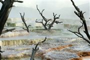 Yellowstone , Yellowstone , Estados Unidos 