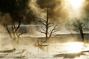 Yellowstone , Yellowstone , Estados Unidos 