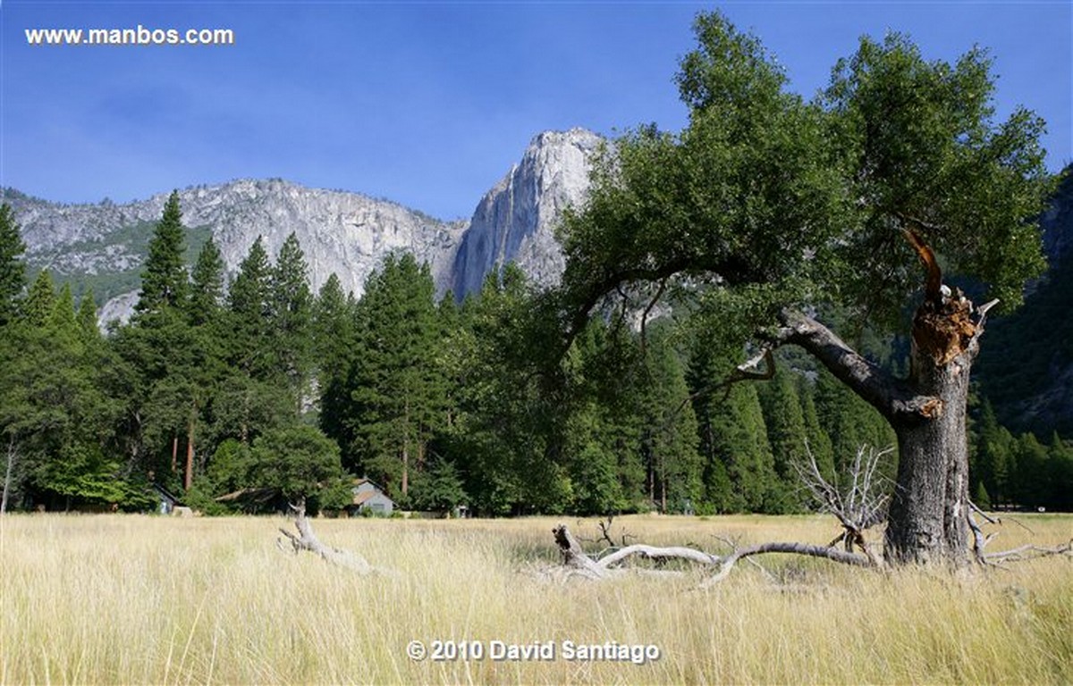 Yosemite 
Yosemite National Park EEUU 
California 