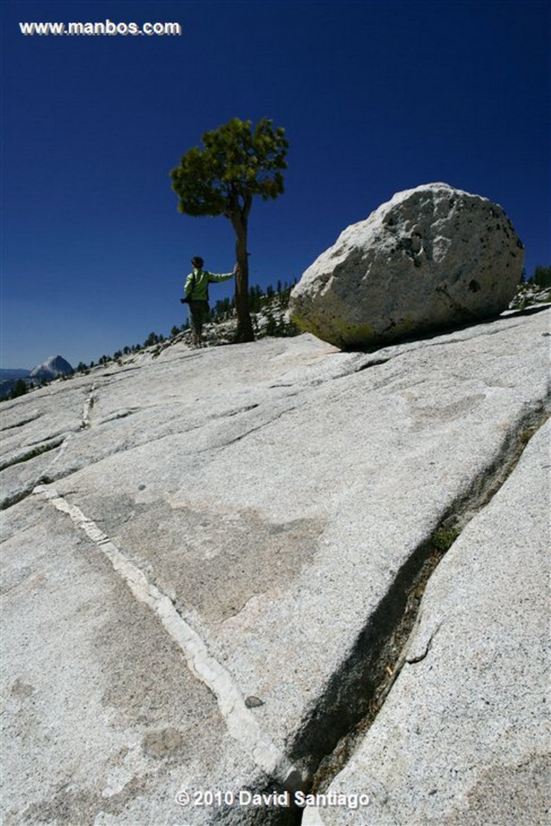 Yosemite 
Yosemite National Park EEUU 
California 